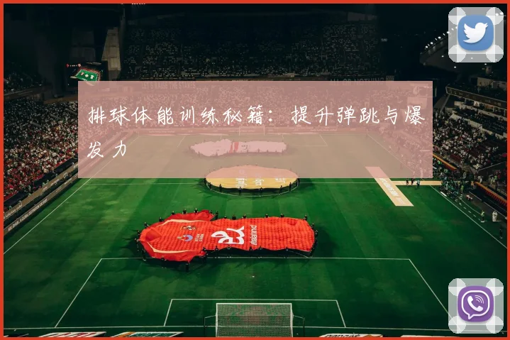 排球体能训练秘籍:提升弹跳与爆发力