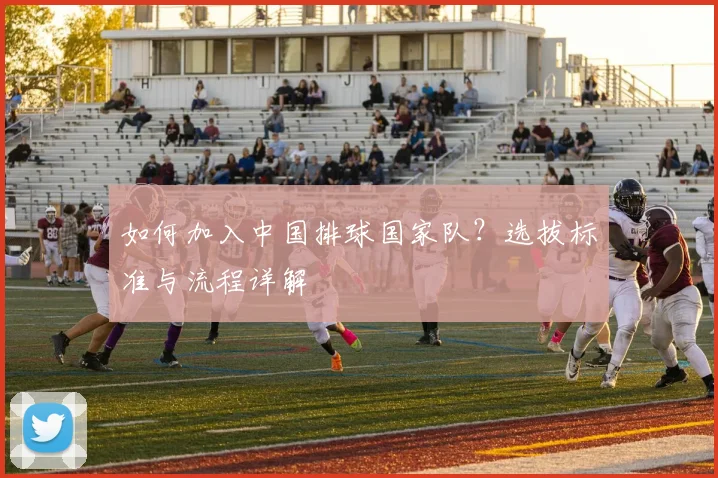 如何加入中国排球国家队？选拔标准与流程详解