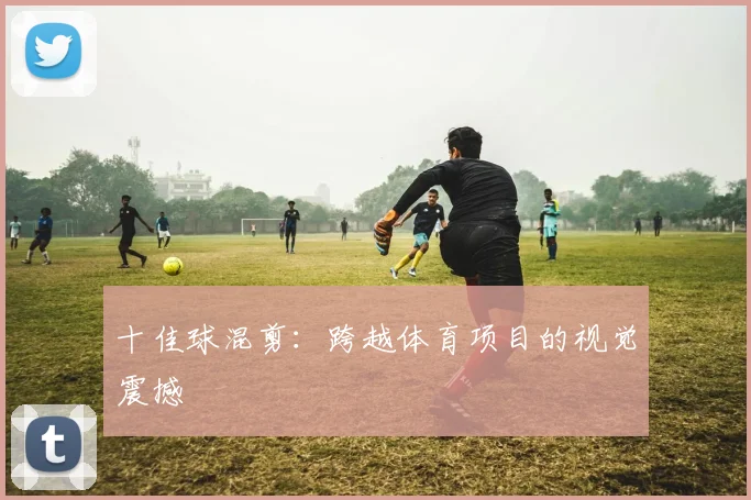 十佳球混剪：跨越体育项目的视觉震撼