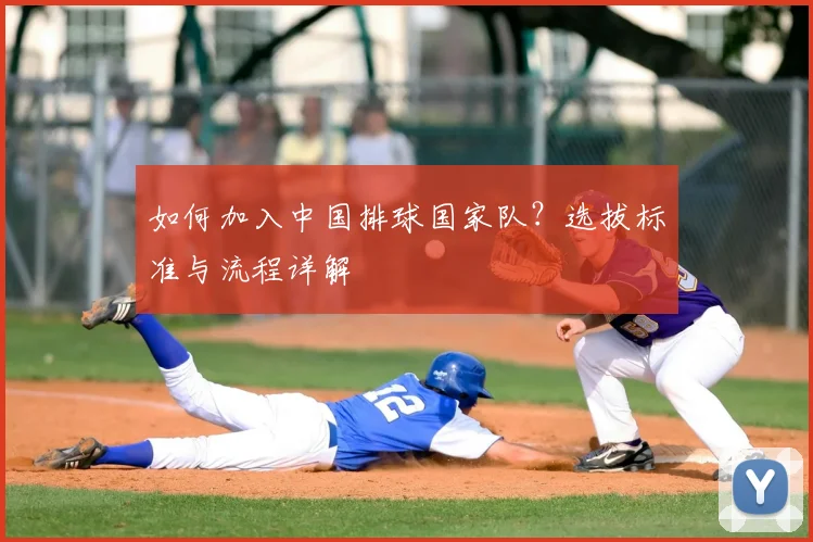 如何加入中国排球国家队?选拔标准与流程详解
